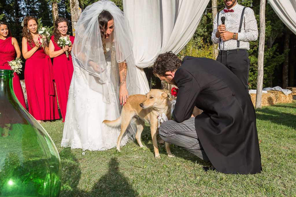 fotografie matrimonio toscana - daniele cortinovis fotografia fotografie matrimonio toscana - daniele cortinovis fotografia