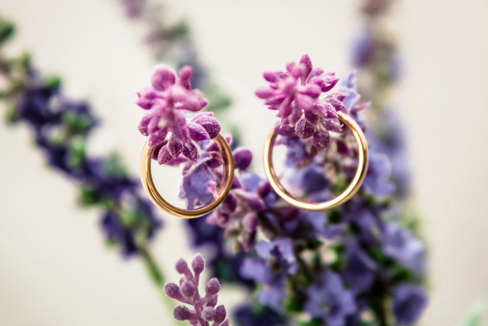 MATRIMONIO I DUE ROCCOLI VANESSA E DAVIDE MATRIMONIO I DUE ROCCOLI VANESSA E DAVIDE