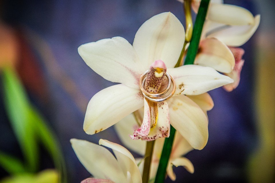 fotografo matrimonio villa giavazzi serena e nicola