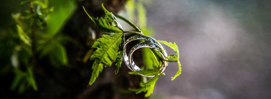 Impaginazione album matimonio Viola e Luca Villa Belvedere BergamoImpaginazione album matimonio Viola e Luca Villa Belvedere Bergamo