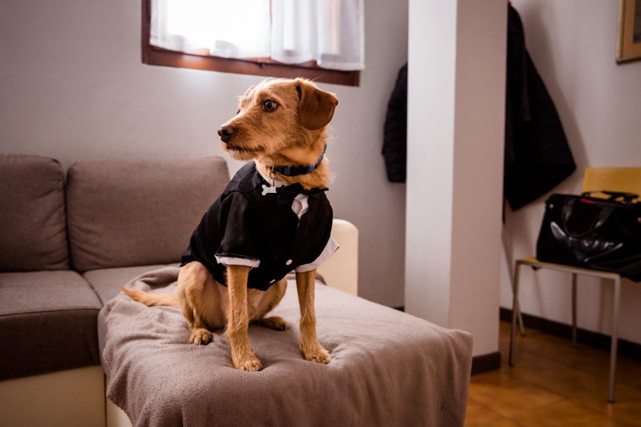 Matrimonio alla Laguna di Monasterolo Valentina e Mattia