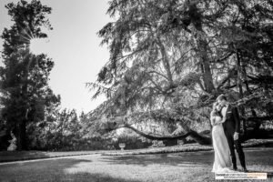 Opinioni Fotografo Matrimonio Bergamo