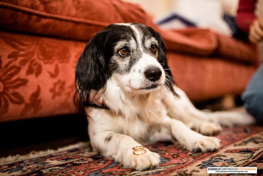 Le fotografie di Matrimonio Le fotografie di Matrimonio