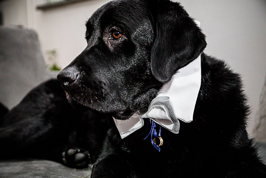 Matrimonio Villa Valenca Brescia Michela e Dario 