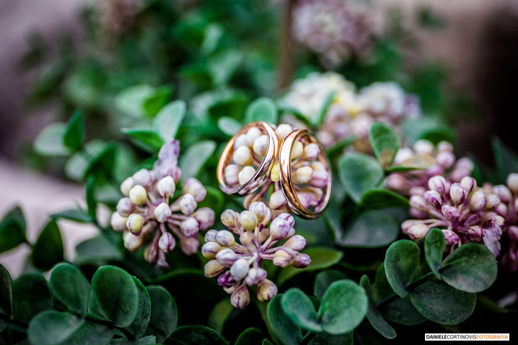 Matrimonio Antico Benessere Fara Gera d'Adda Valentina e Walter