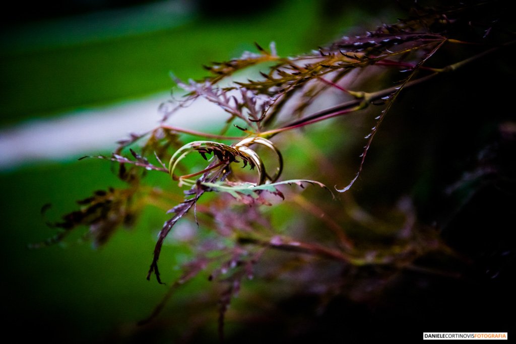 Matrimonio Bergamo Cascina San Carlo Veronica e Davide