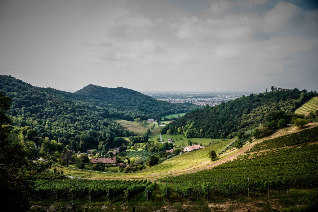 Matrimonio in Tenuta Frizzoni di Martina e Moreno