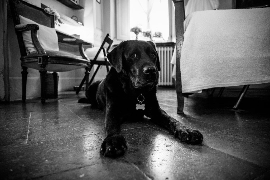 Tenuta Frizzoni Matrimonio giapponese di Sonia e Alessandro Tenuta Frizzoni Matrimonio giapponese di Sonia e Alessandro