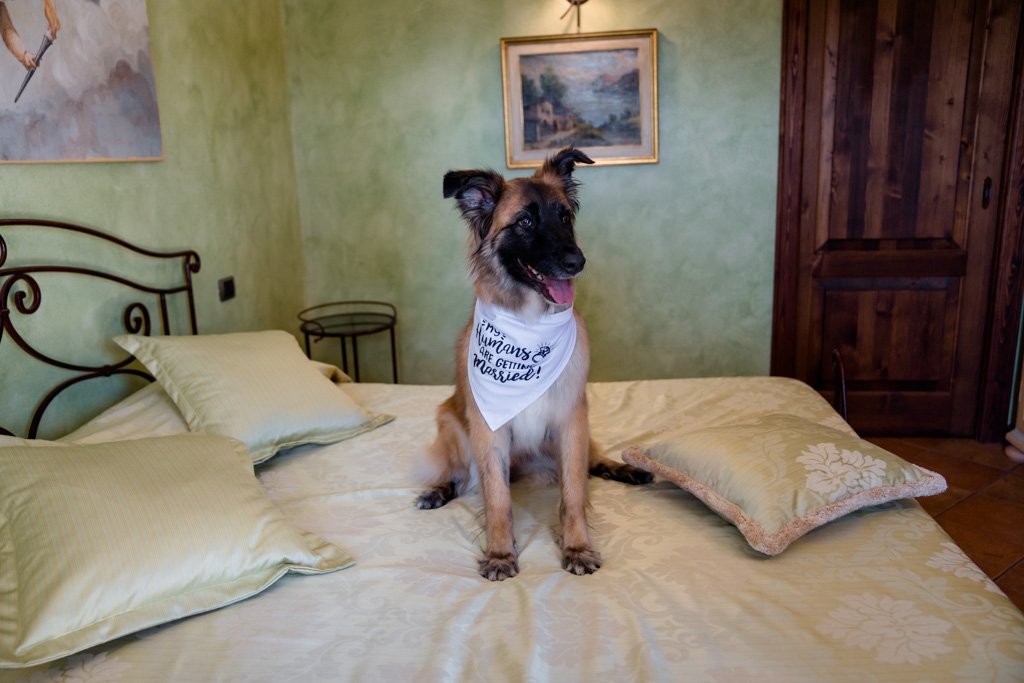 Matrimonio Locanda Armonia Silvia e Dario