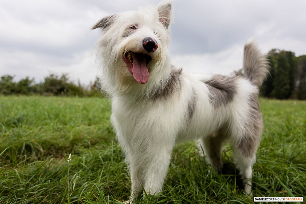 Matrimonio in Tenuta Serradesca di Beatrice e Marco